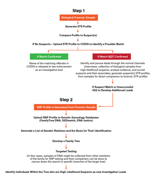 FIGG Process Infographic-Resolve Forensics